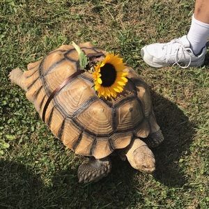 Meet your Posher, Makenna